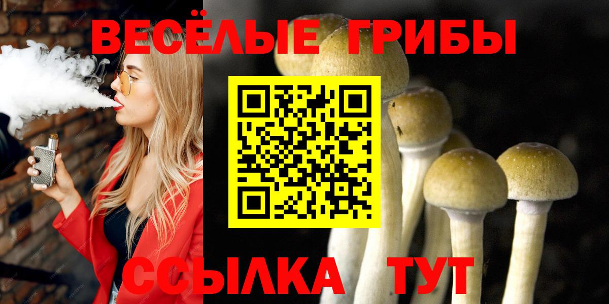 цены   Вход с VPN  Менделеевск  Псилоцибиновые грибы Cubensis 